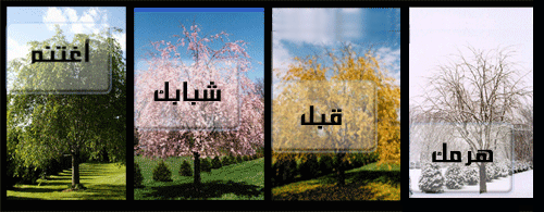 " أحدد هدفي "